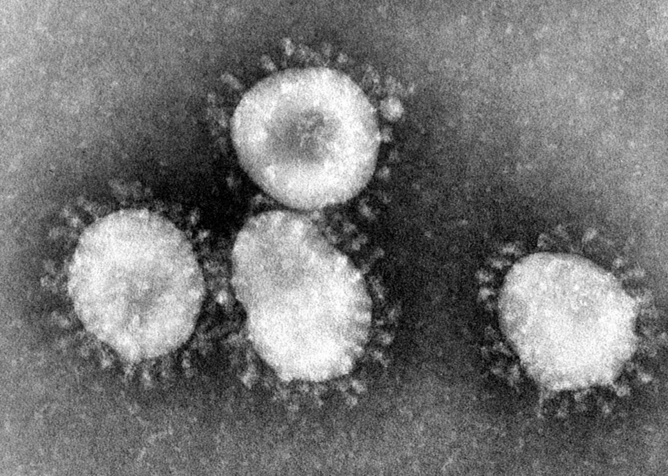 Jaká jsou opatření proti koronaviru na Hradecku?